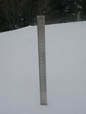 Official snow ruler